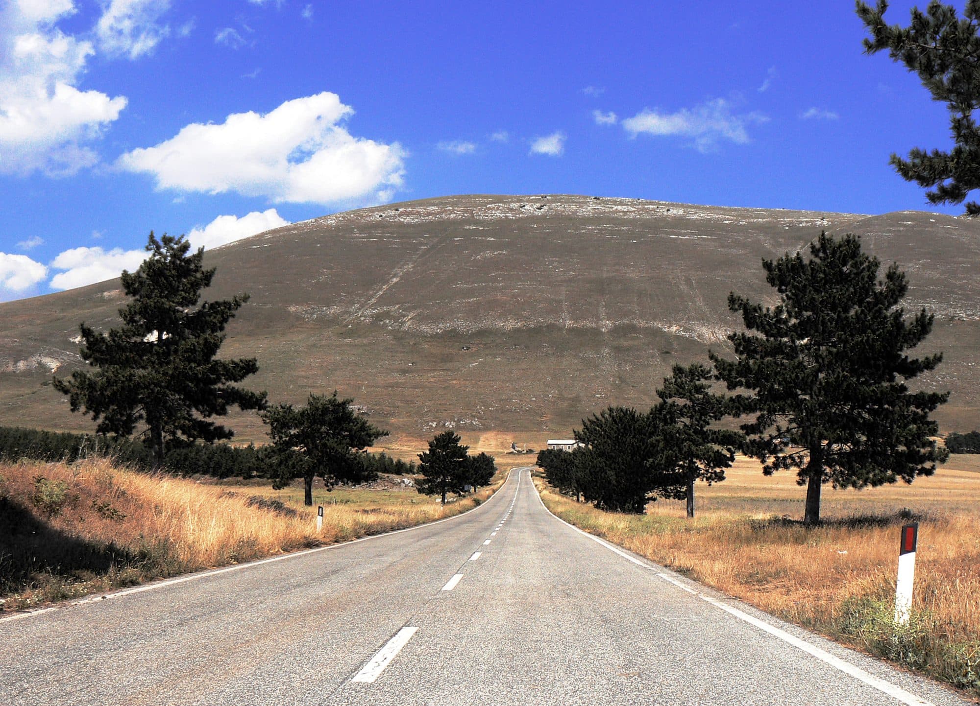 Road Trip