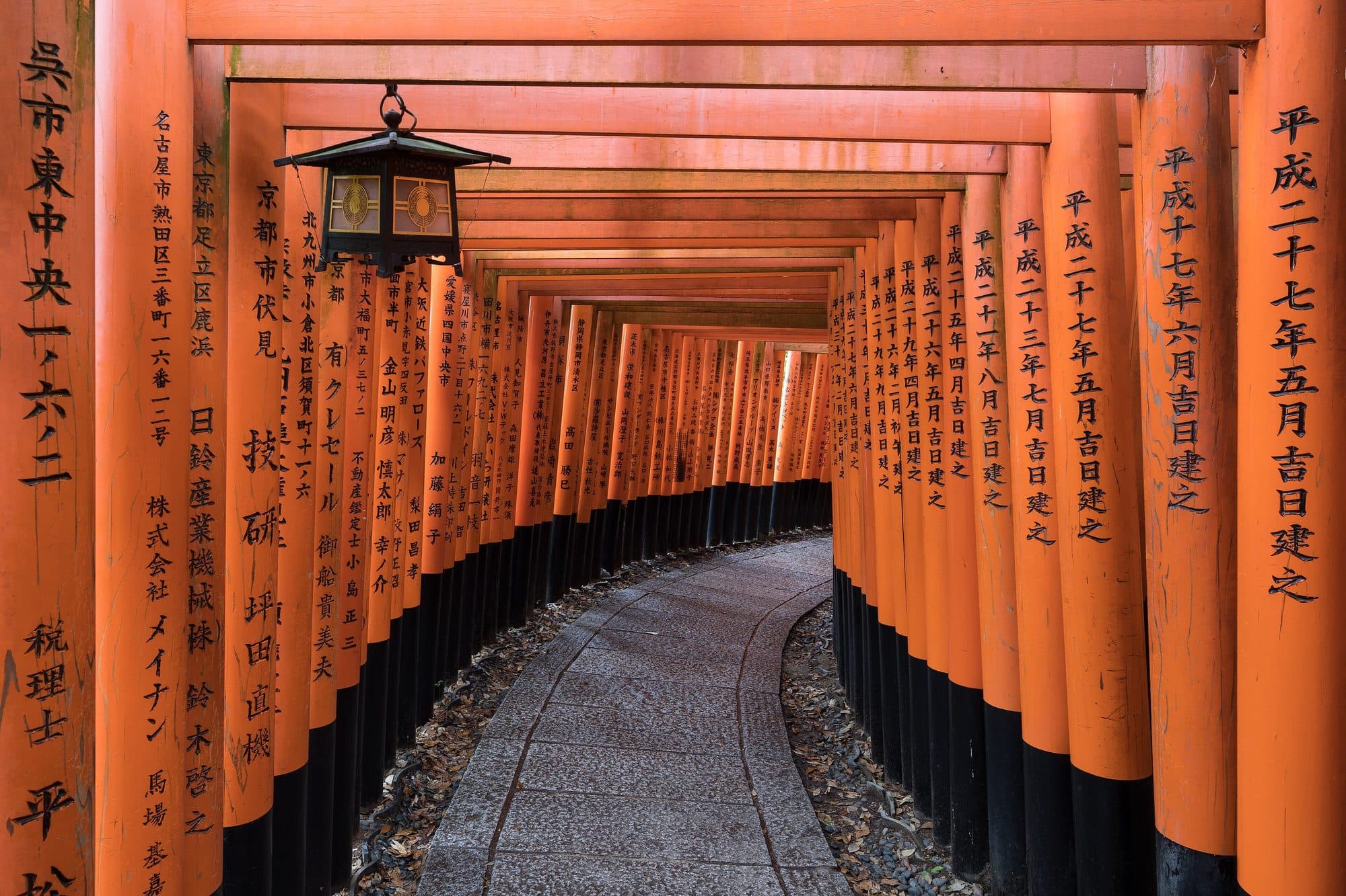 Torii path with lantern at Fushimi Inari Taisha Shrine, Kyoto, Japan.jpg