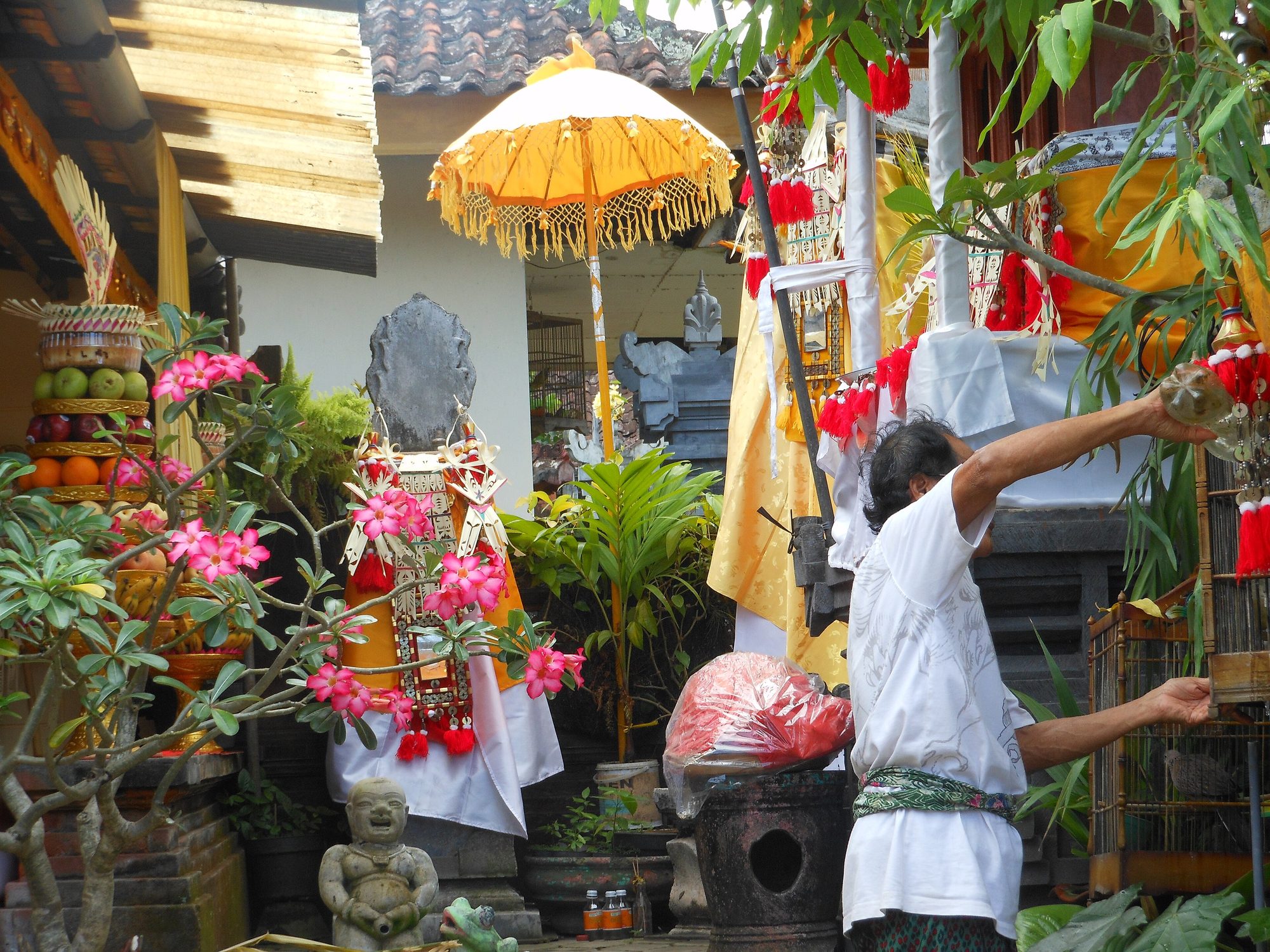 Balinese women preparing canang sari morning offerings