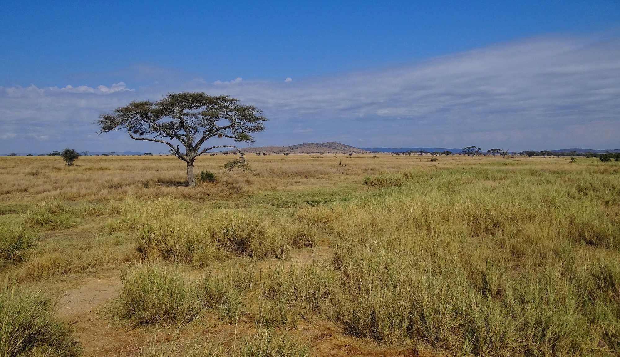Luxury tented camp under the African stars
